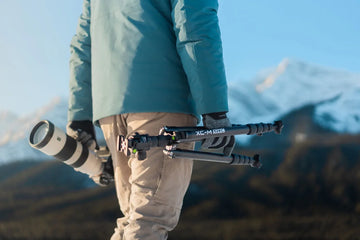 2023 Year in Review: Top ProMaster Products