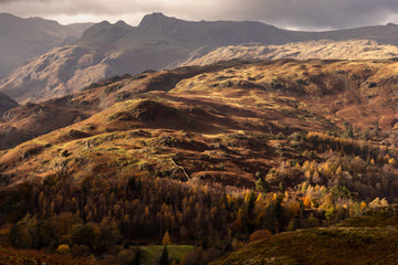 Anchored in Autumn: Capturing Landscapes with ProMaster Tripods