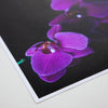 Matte 65 Paper 17"x22" - 20 Sheets