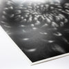 Fine Art Baryta Natural Satin Paper 13"x19"-20 Sheets