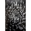 Fine Art Baryta Natural Satin Paper 13"x19"-20 Sheets